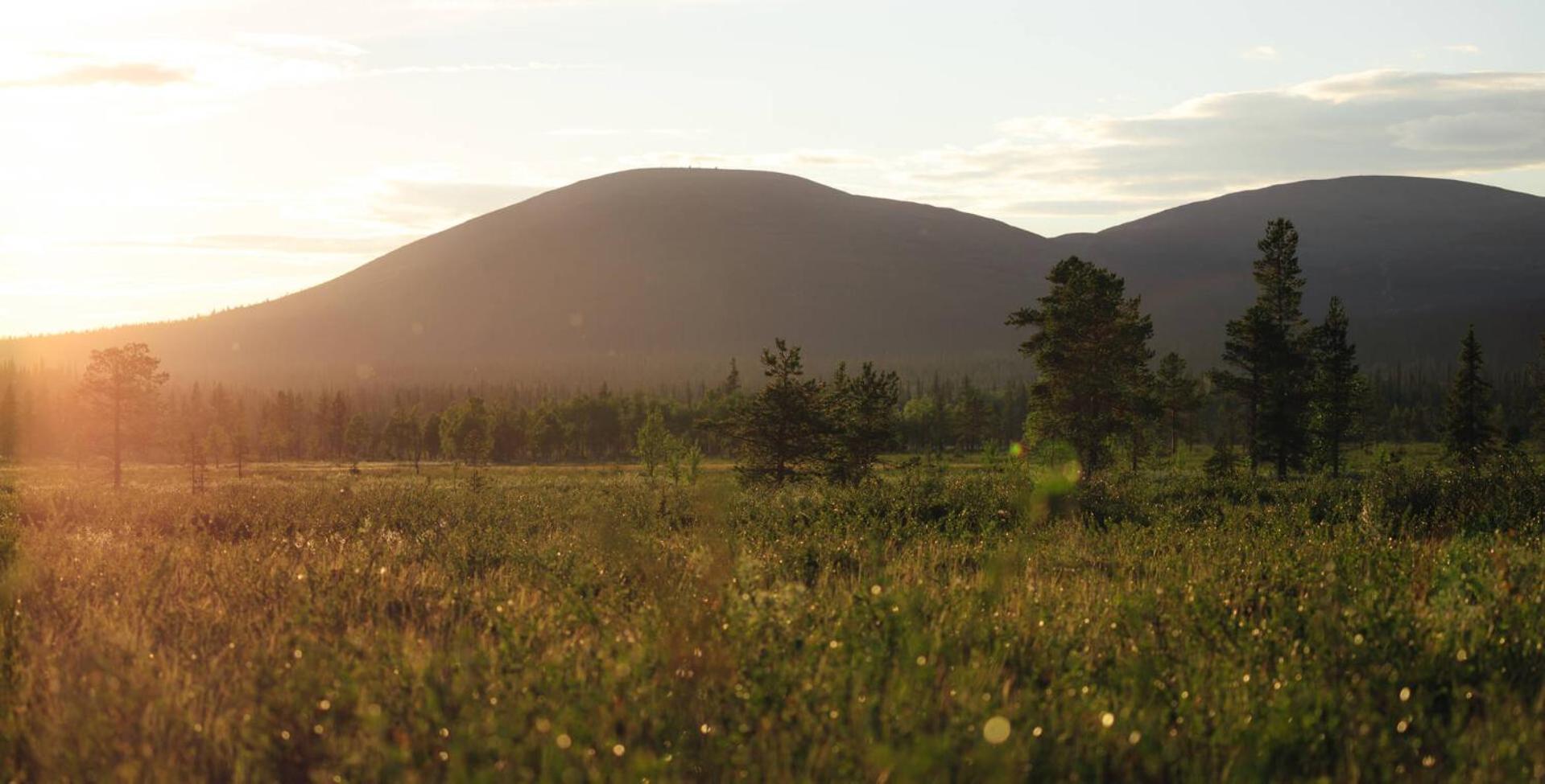 Lapland Hotels Pallas Pallastunturi Esterno foto